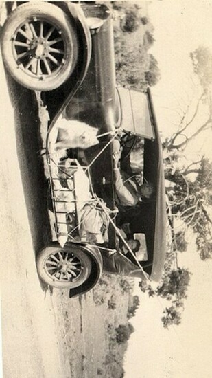 Policy And Terms Of Service Lowrider Art Wallpaper Re S Info