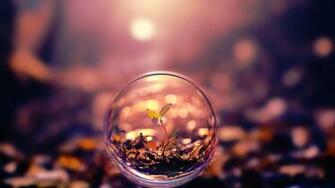 Macro Bubbles HD Wallpaper FullHDwpp Full