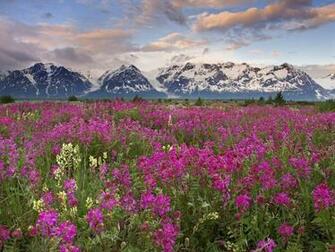 Picture Travel Canada Landscape