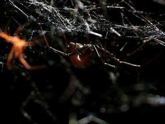 World S Weirdest Creatures Pictures Monster Bash Nat Geo Wild