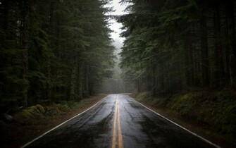 Category Nature HD Wallpaper Subcategory Forests