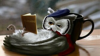 New Art Funny Wallpaper Jokes Fantasy Reading Owl