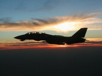 Tomcat Wallpaper X