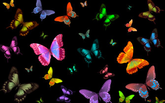 Colorful Butterfly Background Wallpaper