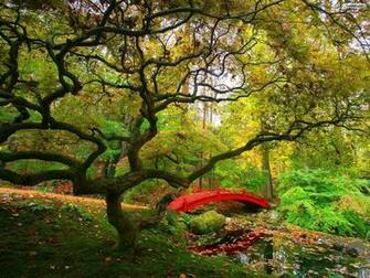 Set As Desktop Wallpaper Autumn Forest Kb