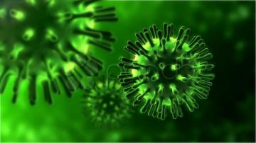 Displaying Image For Microbe Wallpaper