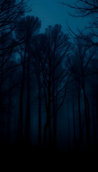 4k Dark Wallpaper