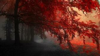 Red Tree