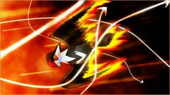 Brave Bird Bravebird