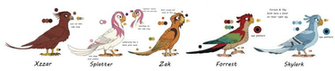 Main Character Chart By Budgieblubird