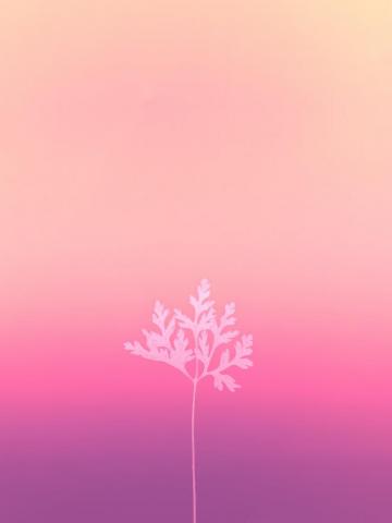 Violet Background Pictures Image