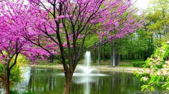 Varadero Cuba Google Image Wallpaper Spring Original
