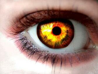 Twilight Series Image Yellow Eyes Wallpaper Photos