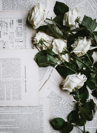 Flowers Aesthetic Pictures Image