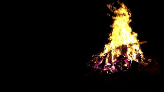Photo Bonfire Background 2d Bush