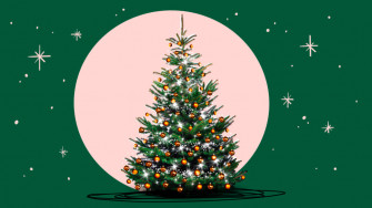 Keep A Christmas Tree Alive Reed