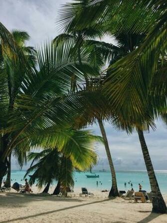 Punta Cana To Santo Domingo iPhone Wallpaper