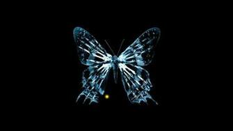 Butterfly Wallpaper X Rays Bone Face Fringe Beyond Fox Movies