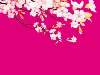 Sakura Wallpaper