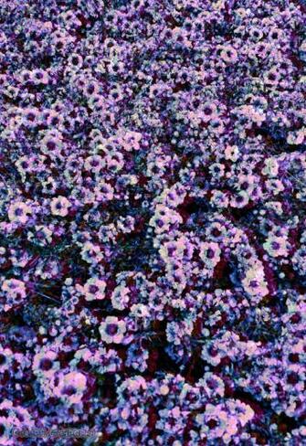 Trippy Wallpaper