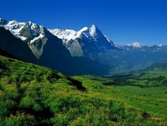 Background Wallpaper For Desktop Nature