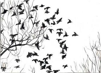 Black And White Birds Are Dark Thoughts