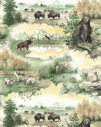 Wild Life Wolves Moose Bear Buffalo Wallpaper Tm19733