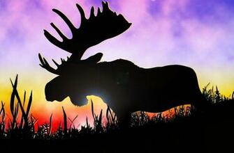 Abercrombie Wallpaper