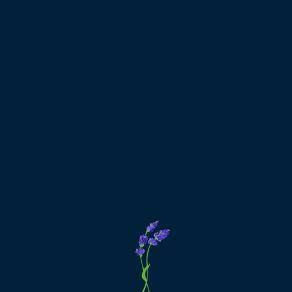 Us Gnash Mp3 Buy Full Tracklist