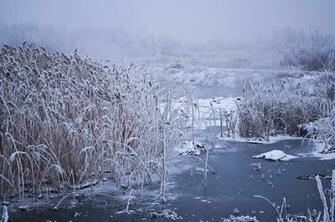HD Winter Fog Wallpaper HDwallpaperdesign