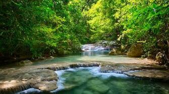Fall Forest Stream Wallpaper