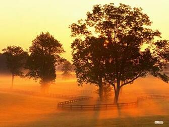 Sunrises Wallpaper Horse Farm Sunrise Versailles Kentucky 1600x