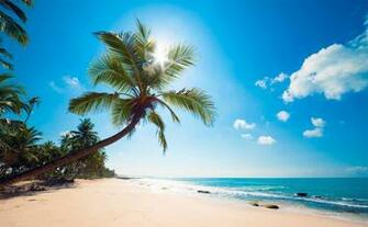 Sunny Beach Desktop Background