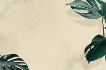 Beige Wallpaper Picture Image