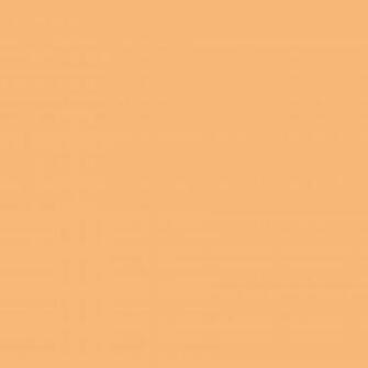 Mellow Apricot Solid Color Background