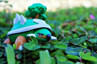 Torterra Wallpaper Pokesnap By