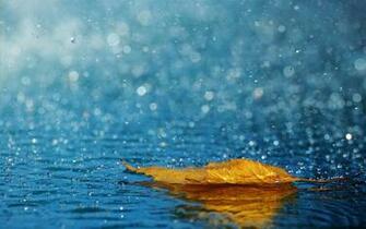 Rain Wallpaper HD