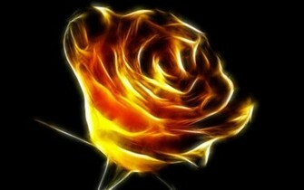 Flower Wallpaper Pictures Red Rose Flowers Gifts Yellow