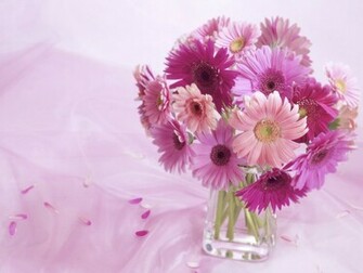 Beautiful Flower Background HD Wallpaper Jpg