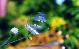 Bubbles Wallpaper Background