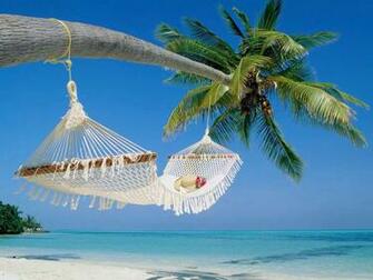 Swing Tied To Oceanside Palm Tree Widescreen Wallpaper Wide