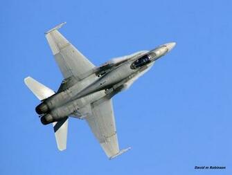 Hornet Wallpaper