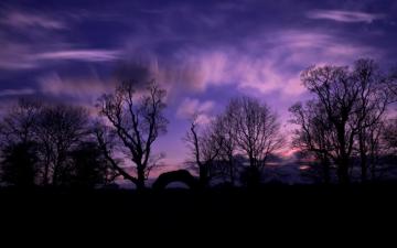 Evening Sunset Trees Silhouettes Sky Clouds Wallpaper HD