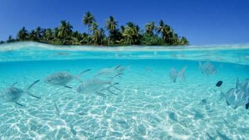 Hawaii Wallpaper Sea HD Desktop