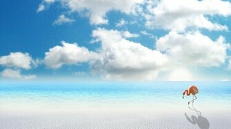 Blirk Net Wallpaper Miami Beach Jpg