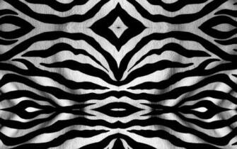 Zebra Wallpaper