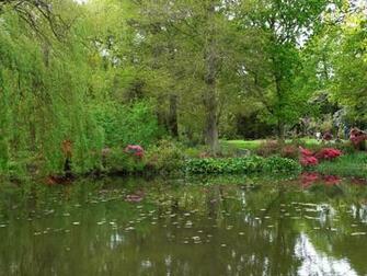 Bushy Park