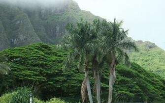 Pin Wallpaper Hawaii Background Widescreen On