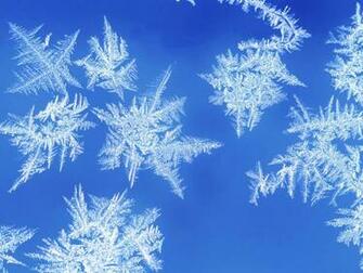 Snowflake Photo Wallpaper Stock Photos