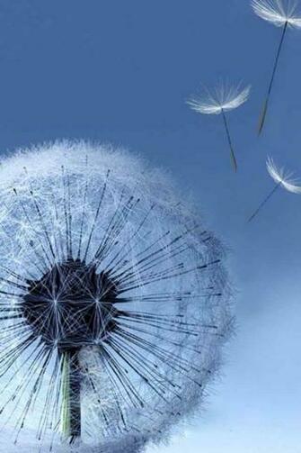 Wallpaper For Samsung Galaxy S3